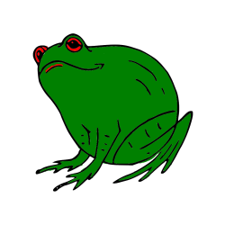 Pobarvana pobarvanka - Pobarvanka debele žabe