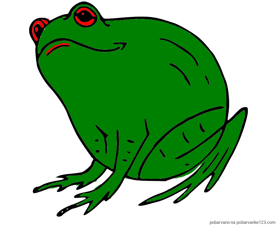 POBARVANA POBARVANKA - Pobarvanka debele žabe