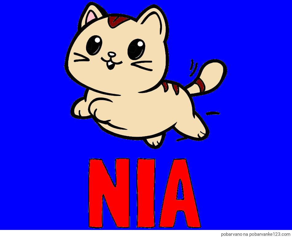 POBARVANA POBARVANKA - Pobarvanka imena NIA in pobarvanka prikupne mačke med tekom