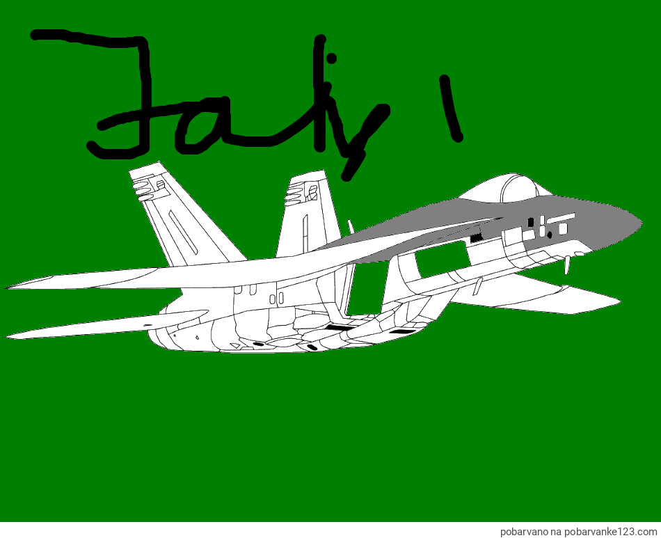 POBARVANA POBARVANKA - Pobarvanka letala Hornet