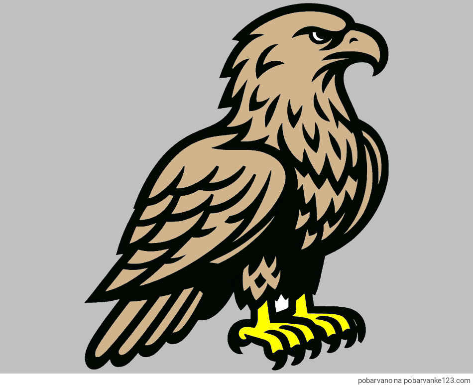 POBARVANA POBARVANKA - Pobarvanka  majhnega orla