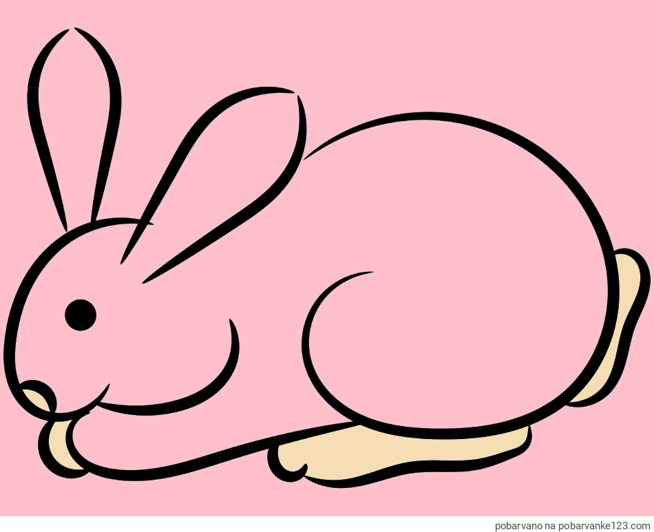 POBARVANA POBARVANKA - Pobarvanka majhnega zajčka