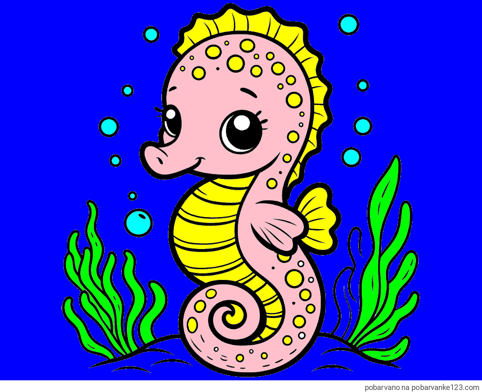 POBARVANA POBARVANKA - Pobarvanka morskega konjička