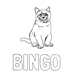 Online izdelana pobarvanka - Pobarvanka imena BINGO in pobarvanka lepe mucke