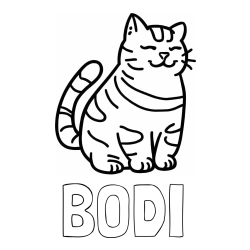 Online izdelana pobarvanka - Pobarvanka imena BODI in pobarvanka debelušne mačke