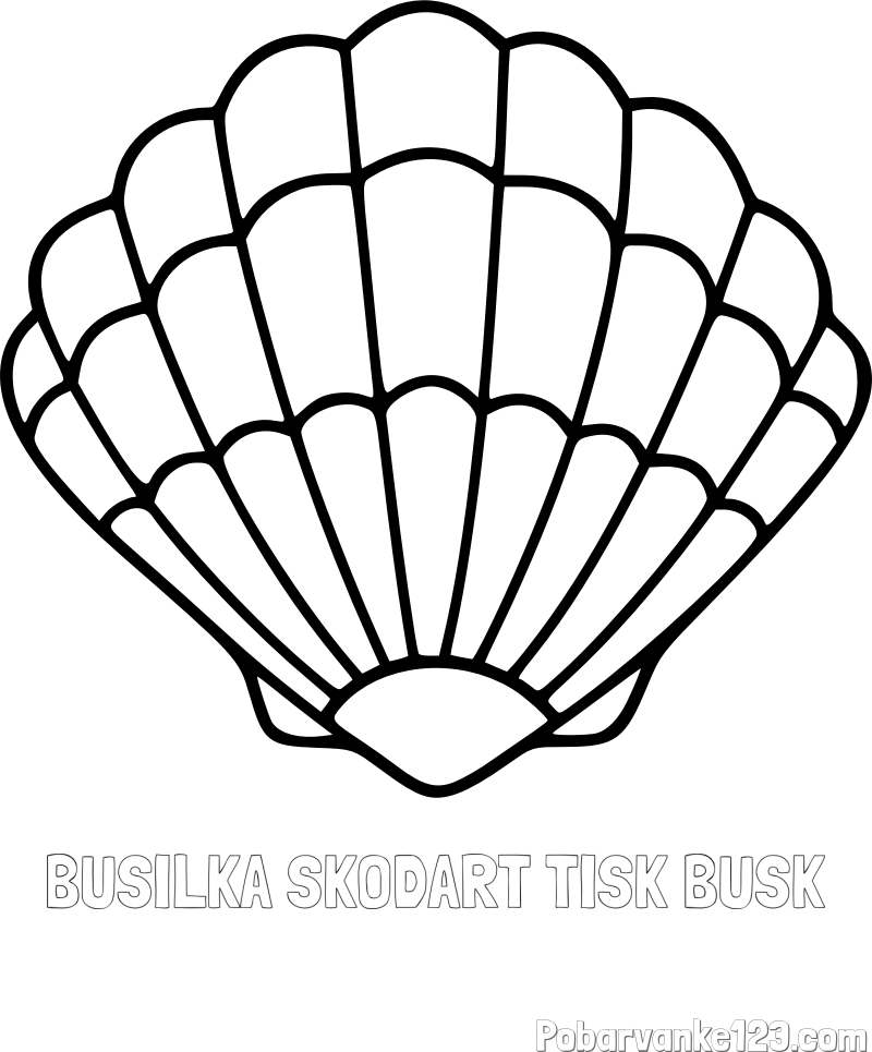 Pobarvanka imena BUŠILKA SKODART TISK BUŠK in pobarvanka školjke