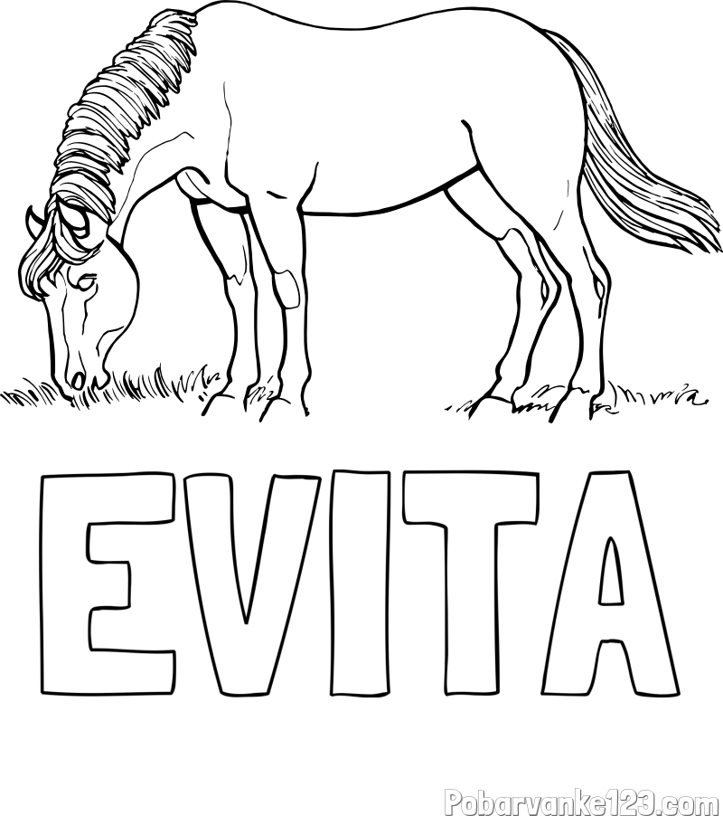 Pobarvanka imena EVITA in pobarvanka konja med pašo
