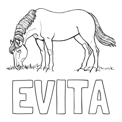 Online izdelana pobarvanka - Pobarvanka imena EVITA in pobarvanka konja med pašo