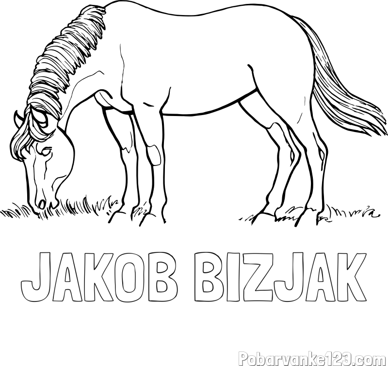 Pobarvanka imena JAKOB BIZJAK in pobarvanka konja med pašo