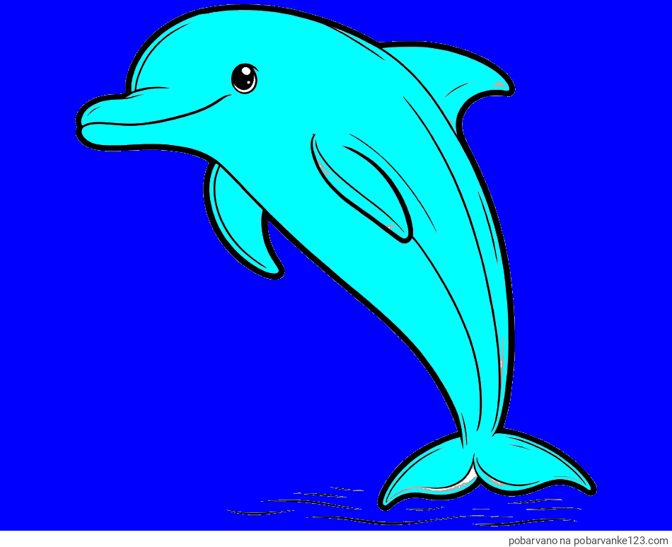 POBARVANA POBARVANKA - Pobarvanka delfina