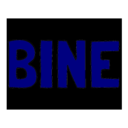 Pobarvana pobarvanka - Pobarvanka imena BINE