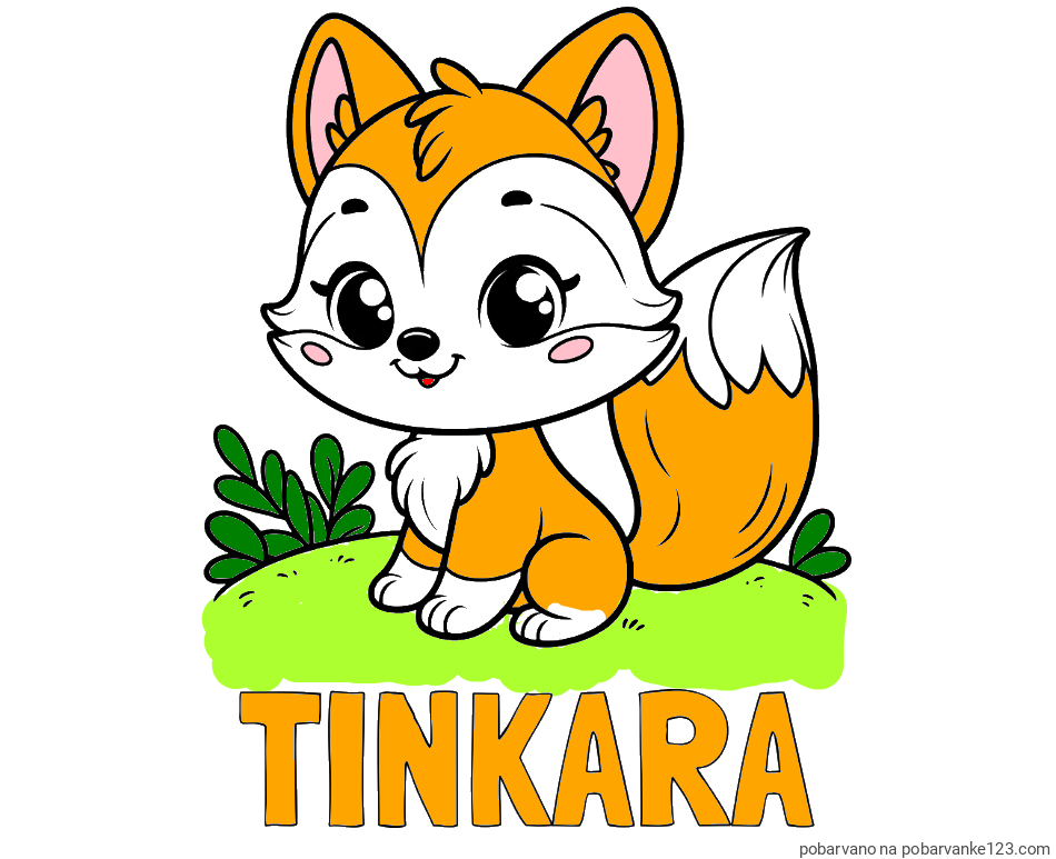 POBARVANA POBARVANKA - Pobarvanka imena TINKARA in pobarvanka lisičke