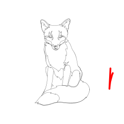 Pobarvana pobarvanka - Pobarvanka lisice