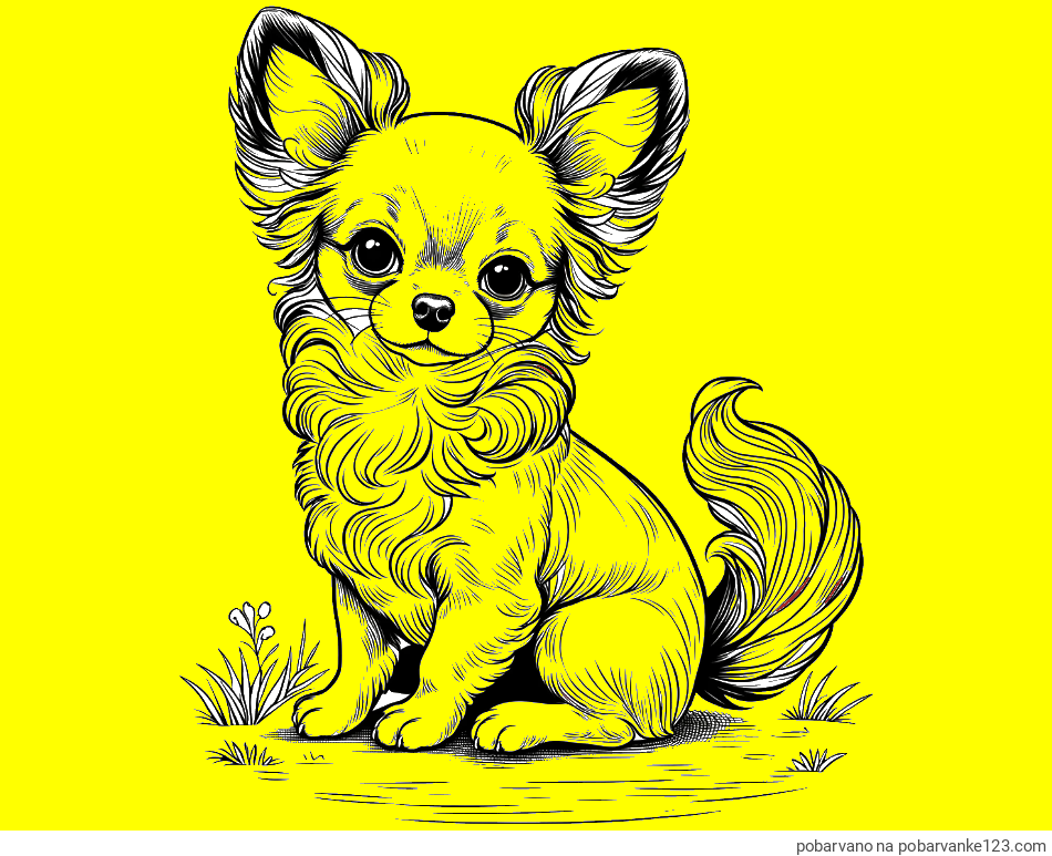 POBARVANA POBARVANKA - Pobarvanka ljubke čivave