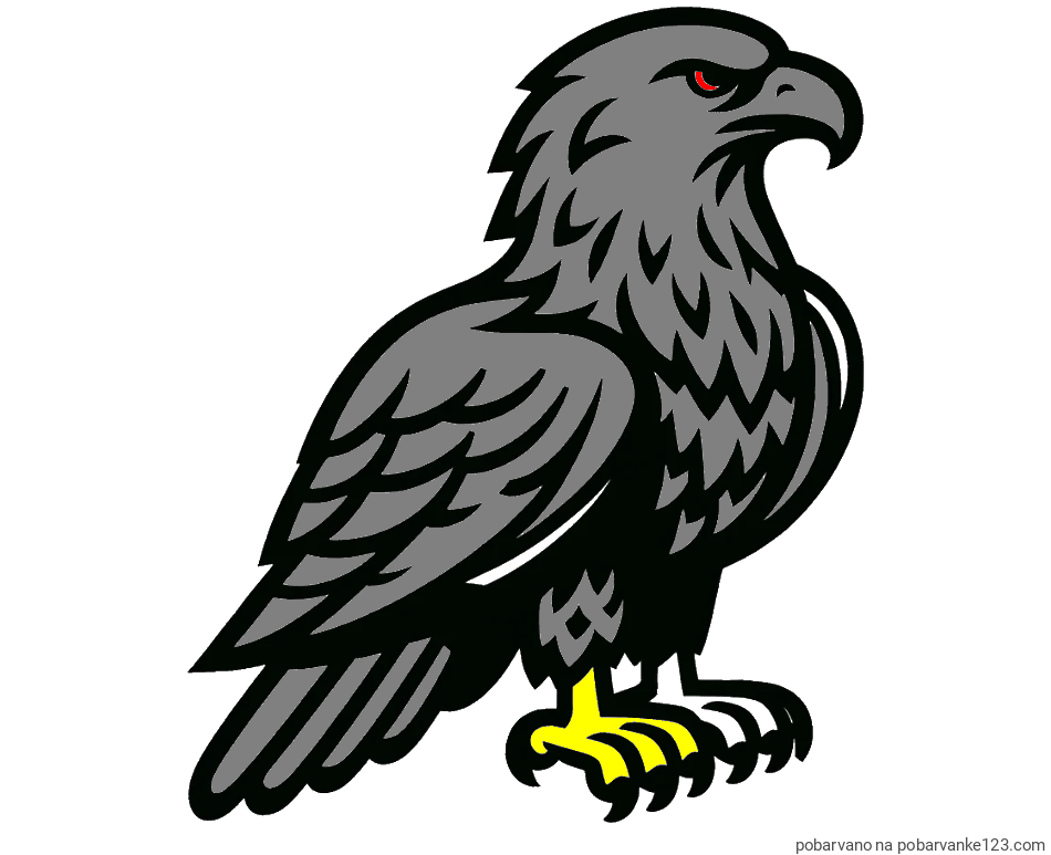 POBARVANA POBARVANKA - Pobarvanka  majhnega orla