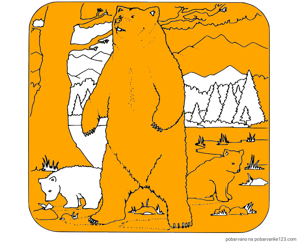 POBARVANA POBARVANKA - Pobarvanka medvedke z mladičema