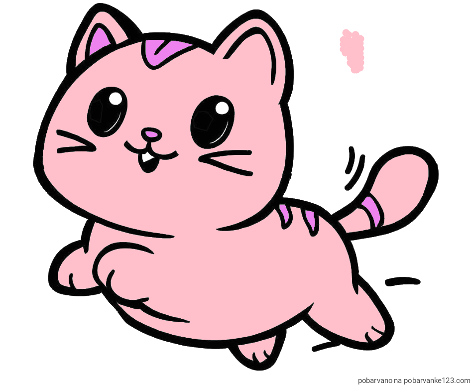 POBARVANA POBARVANKA - Pobarvanka prikupne mačke med tekom