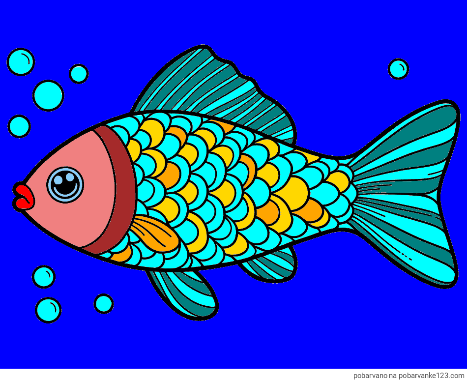 POBARVANA POBARVANKA - Pobarvanka ribe