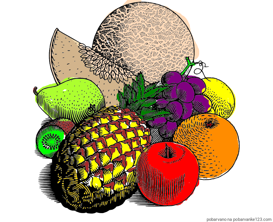 POBARVANA POBARVANKA - Pobarvanka sadja (ananas, melona, jabolka, kivi, grozdje, pomaranča...)