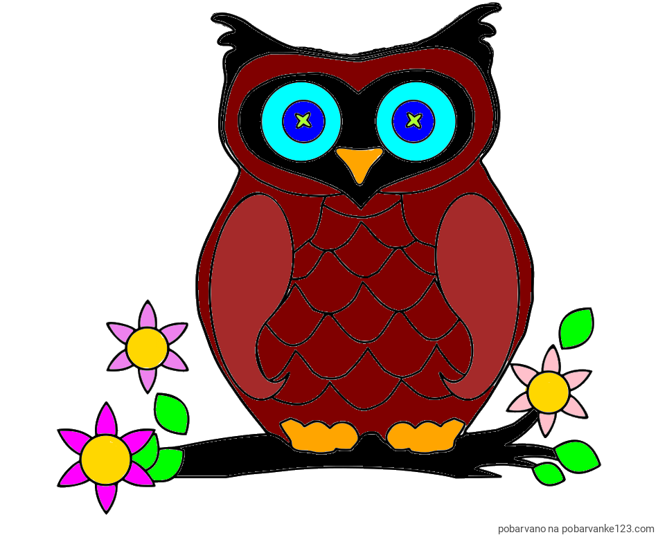POBARVANA POBARVANKA - Pobarvanka sove