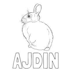 Online izdelana pobarvanka - Pobarvanka imena AJDIN in pobarvanka debelega zajca