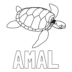 Online izdelana pobarvanka - Pobarvanka imena AMAL in otroška pobarvanka velike želve