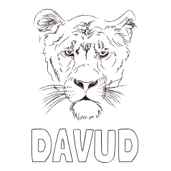 Online izdelana pobarvanka - Pobarvanka imena DAVUD in pobarvanka levinje