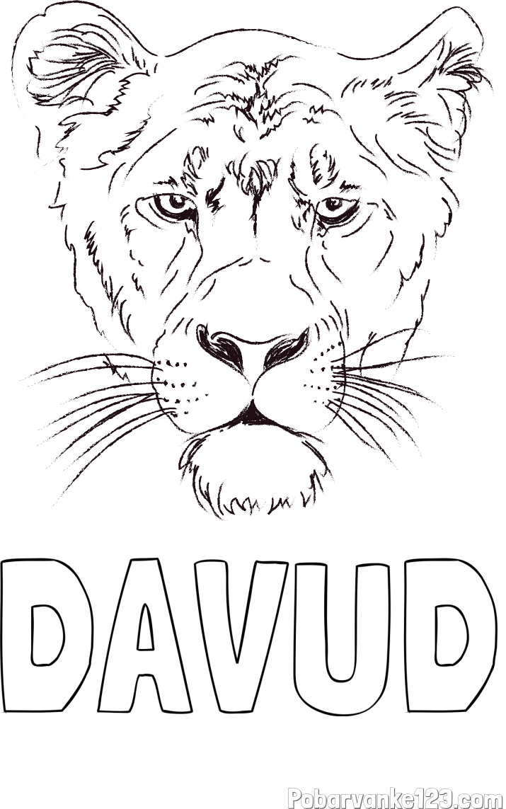 Pobarvanka imena DAVUD in pobarvanka levinje