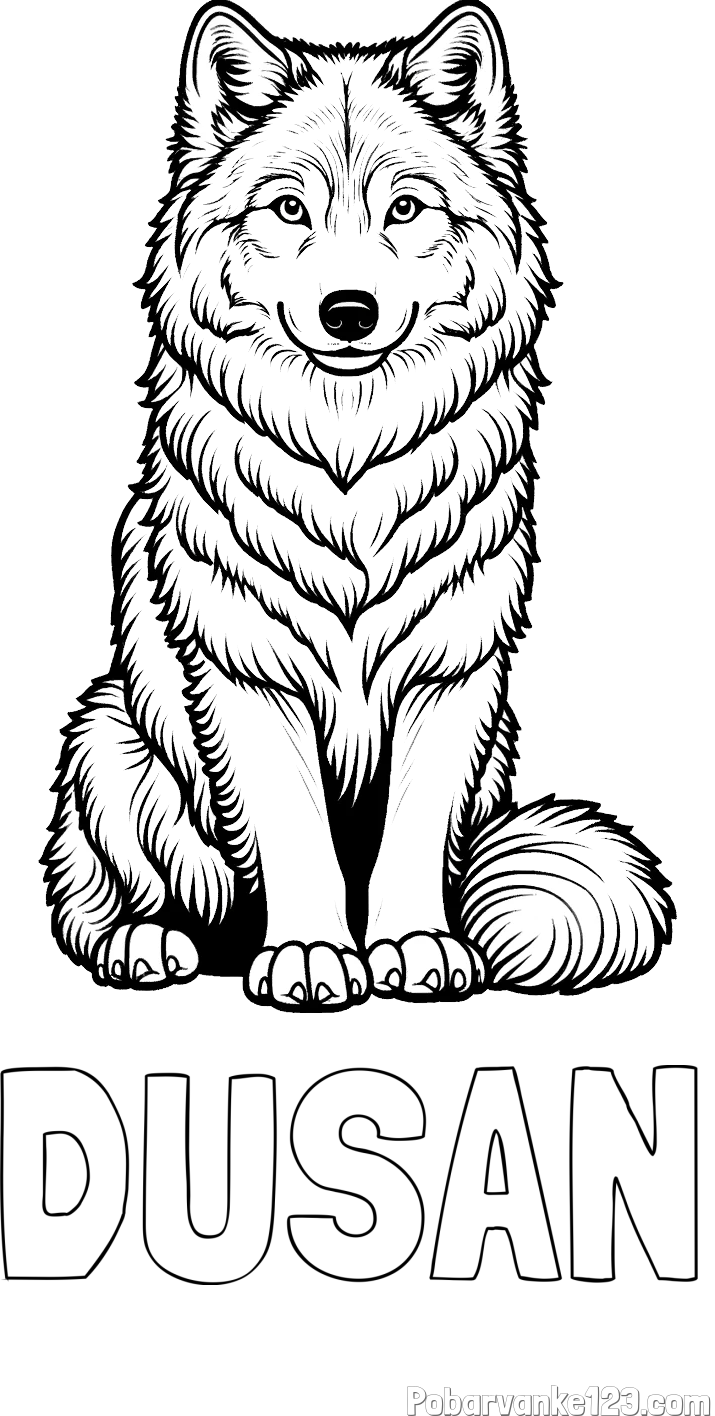 Pobarvanka imena DUŠAN in pobarvanka prijaznega volka