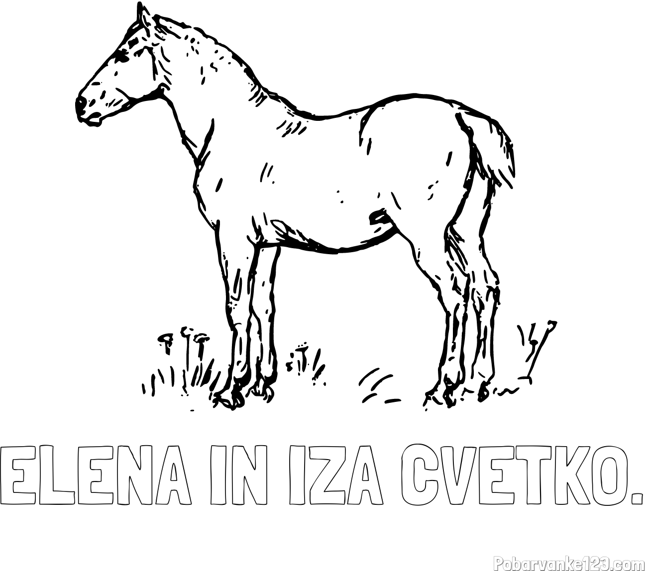 Pobarvanka imena ELENA IN IZA CVETKO. in pobarvanka konja na travi