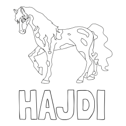 Online izdelana pobarvanka - Pobarvanka imena HAJDI in pobarvanka lisastega konja