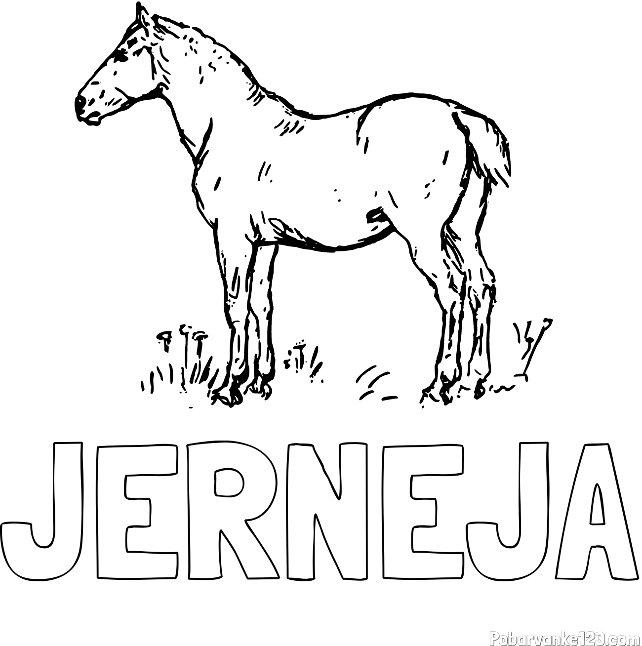 Pobarvanka imena JERNEJA in pobarvanka konja na travi