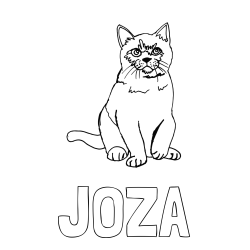 Online izdelana pobarvanka - Pobarvanka imena JOŽA in pobarvanka lepe mucke