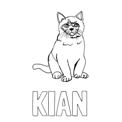 Online izdelana pobarvanka - Pobarvanka imena KIAN in pobarvanka lepe mucke
