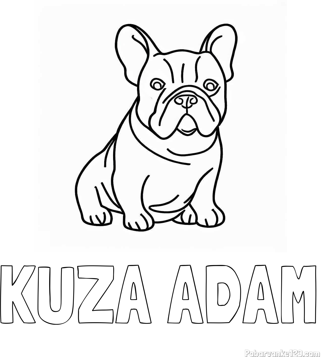 Pobarvanka imena KUŽA ADAM in pobarvanka francoskega buldoga