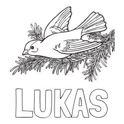 Online izdelana pobarvanka - Pobarvanka imena LUKAS in pobarvanka ptice na vejici