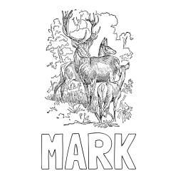 Online izdelana pobarvanka - Pobarvanka imena MARK in pobarvanka jelena, srne ter mladička
