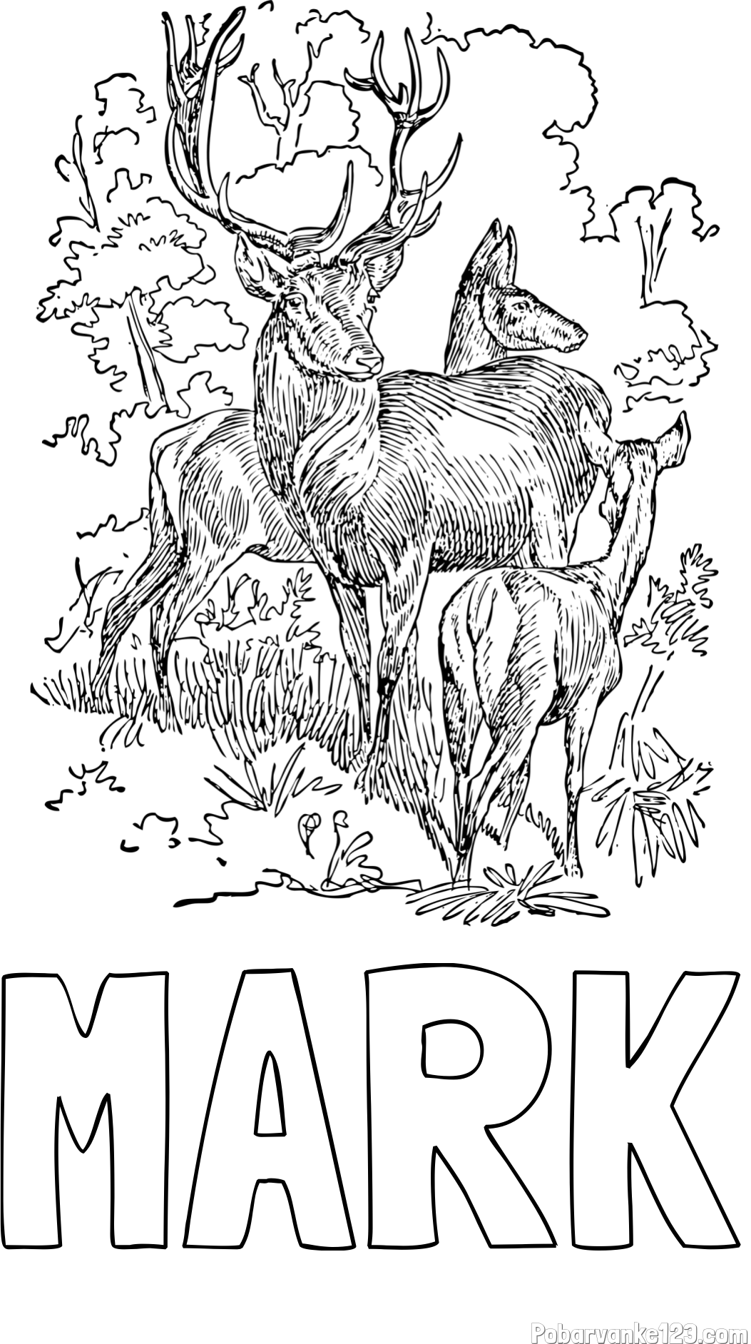 Pobarvanka imena MARK in pobarvanka jelena, srne ter mladička