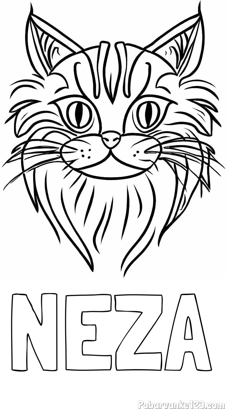 Pobarvanka imena NEZA in pobarvanka mačje glave