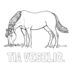 Online izdelana pobarvanka - Pobarvanka imena TIA VESELIČ. in pobarvanka konja med pašo