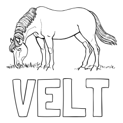 Online izdelana pobarvanka - Pobarvanka imena VELT in pobarvanka konja med pašo