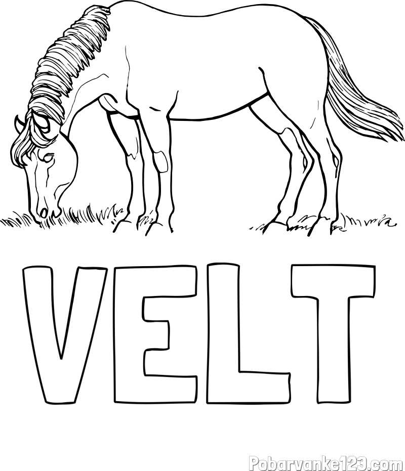 Pobarvanka imena VELT in pobarvanka konja med pašo