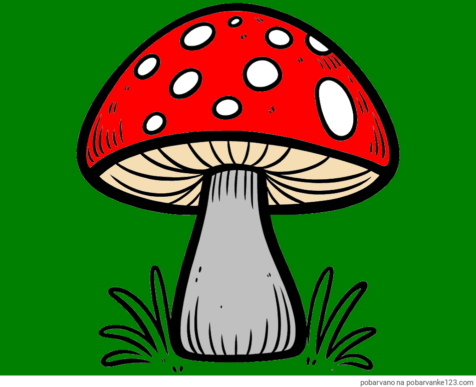 POBARVANA POBARVANKA - Pobarvanka gobe