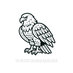 Pobarvana pobarvanka - Pobarvanka imena OD SONJE ZA GALA KAJOLEON in pobarvanka orla