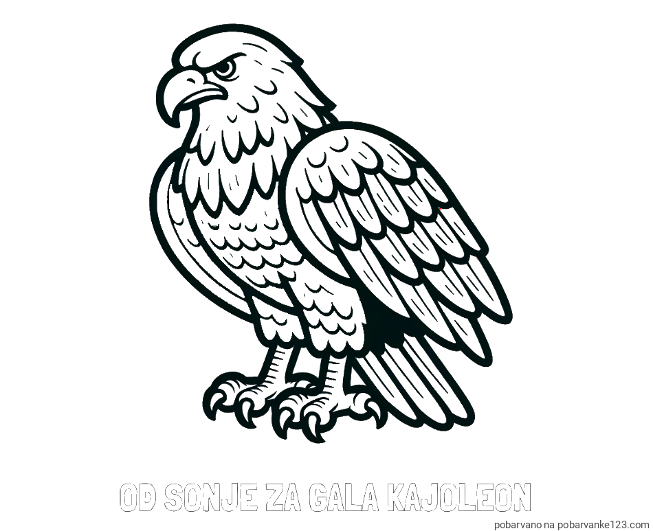POBARVANA POBARVANKA - Pobarvanka imena OD SONJE ZA GALA KAJOLEON in pobarvanka orla