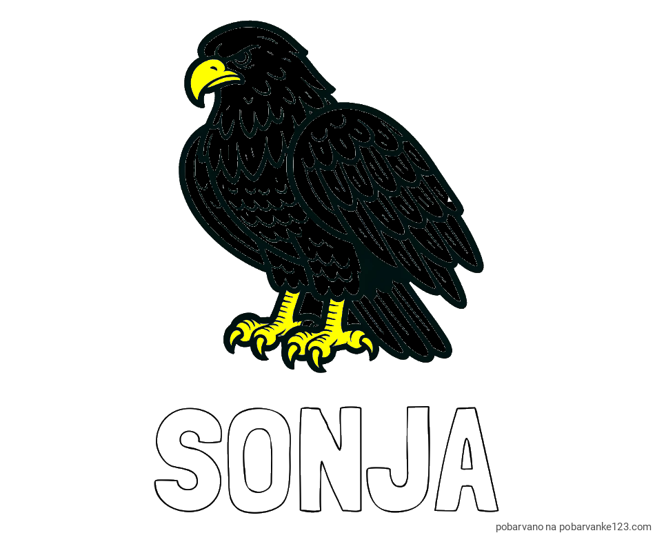 POBARVANA POBARVANKA - Pobarvanka imena SONJA in pobarvanka orla