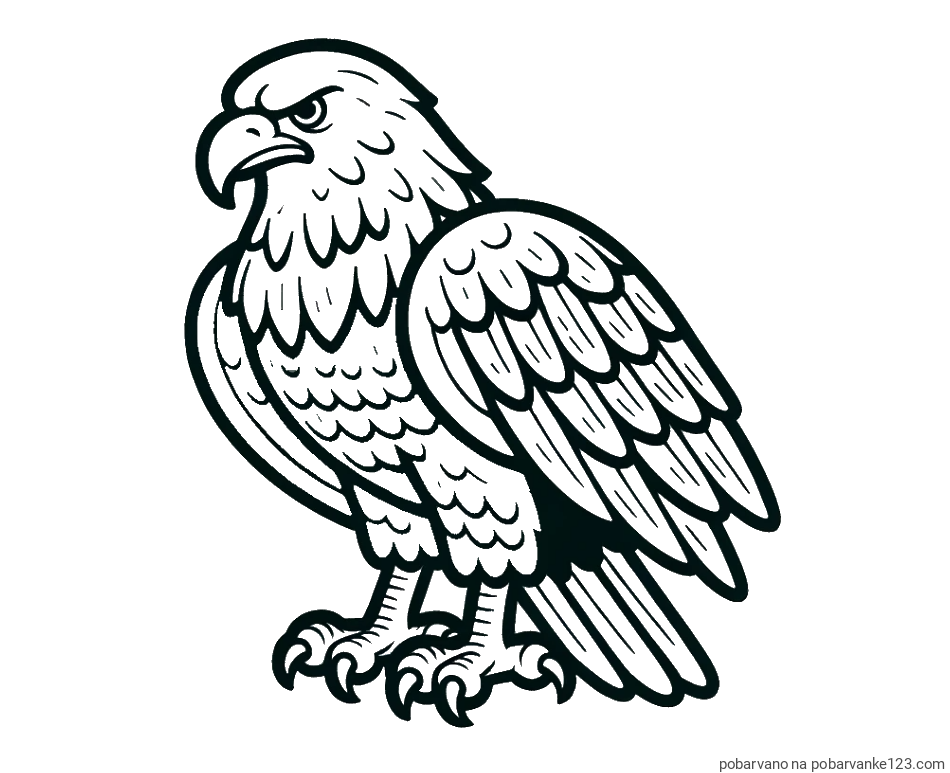 POBARVANA POBARVANKA - Pobarvanka orla