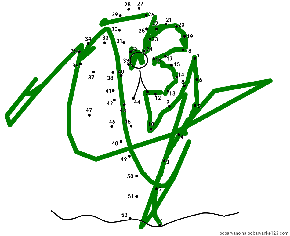 POBARVANA POBARVANKA - Pobarvanka rože - poveži številke