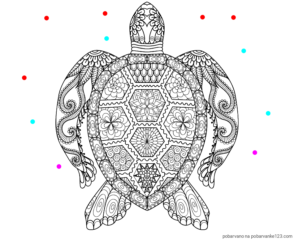 POBARVANA POBARVANKA - Pobarvanka želve - mandale