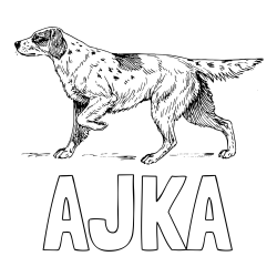 Online izdelana pobarvanka - Pobarvanka imena AJKA in pobarvanka lovskega psa na lovu